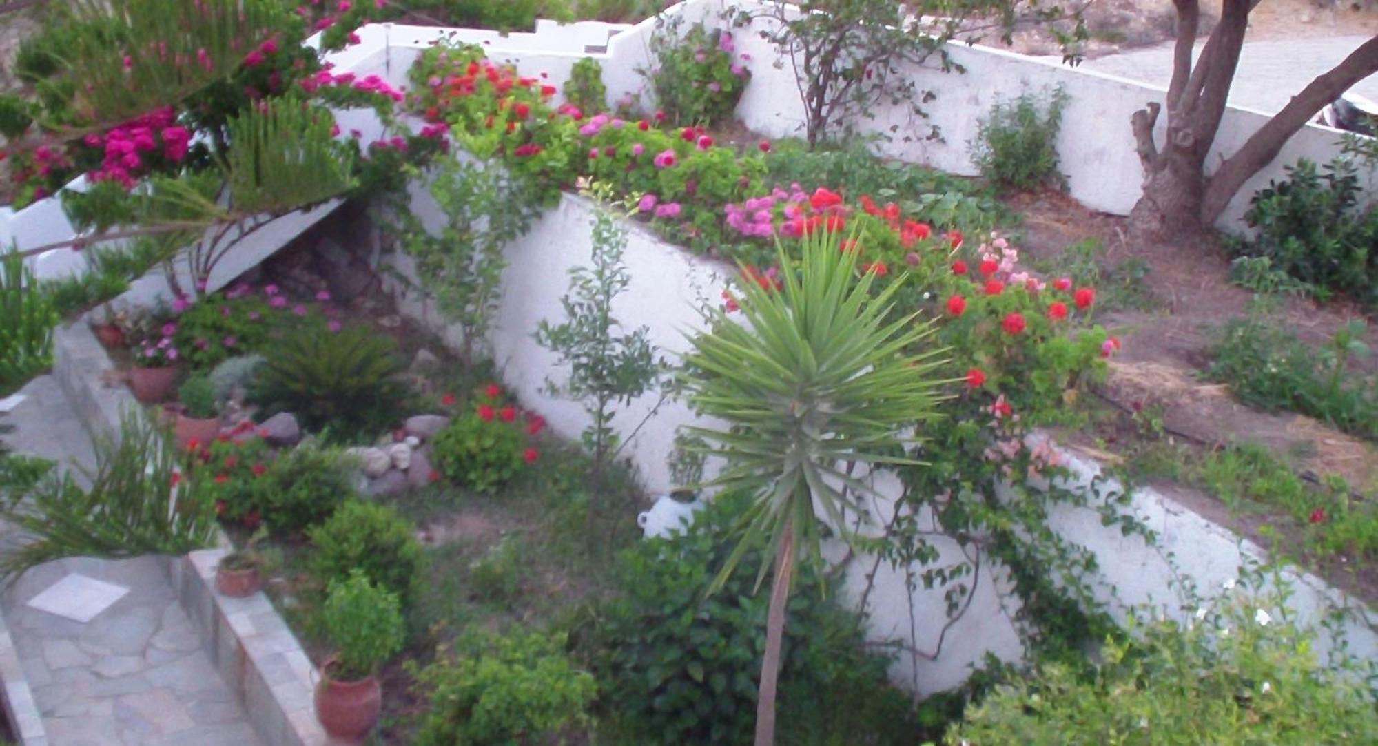 Creta Vassakis Studios Kéfalos Dış mekan fotoğraf