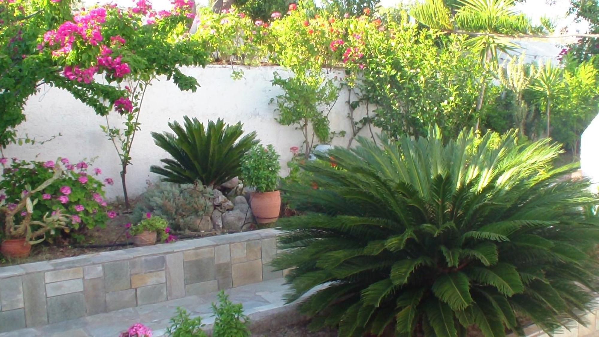 Creta Vassakis Studios Kéfalos Dış mekan fotoğraf