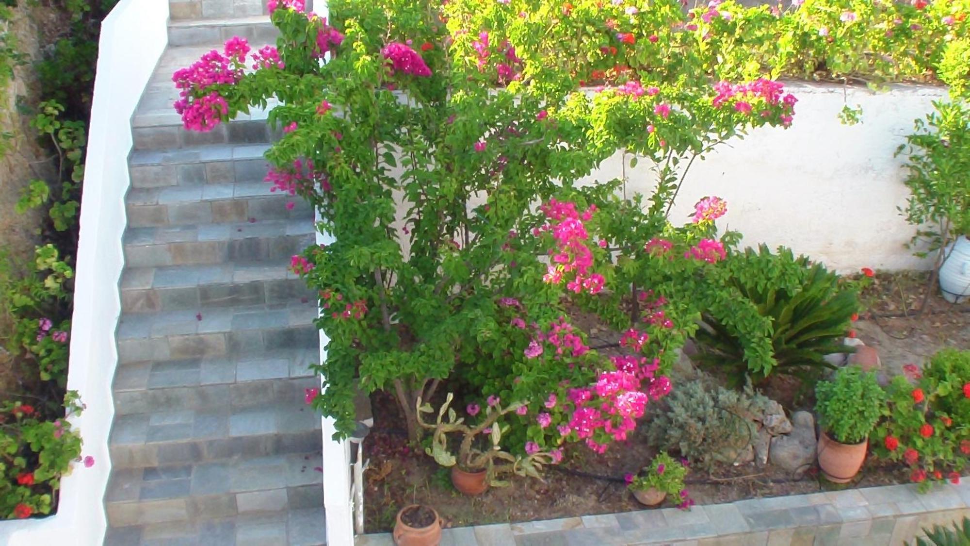 Creta Vassakis Studios Kéfalos Dış mekan fotoğraf